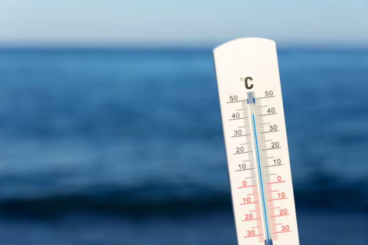 Cuando el calor manda: Google frena su inteligencia artificial para que tú puedas encender el aire