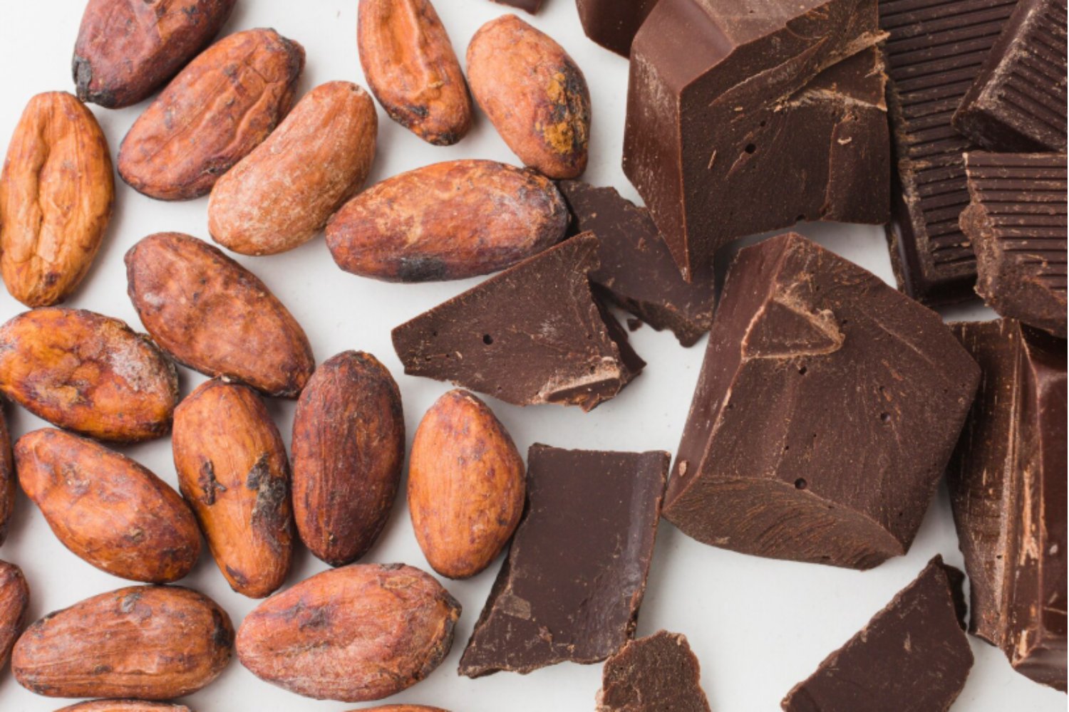 Chocolate bajo sospecha: el lado oscuro del cadmio que preocupa a la ciencia