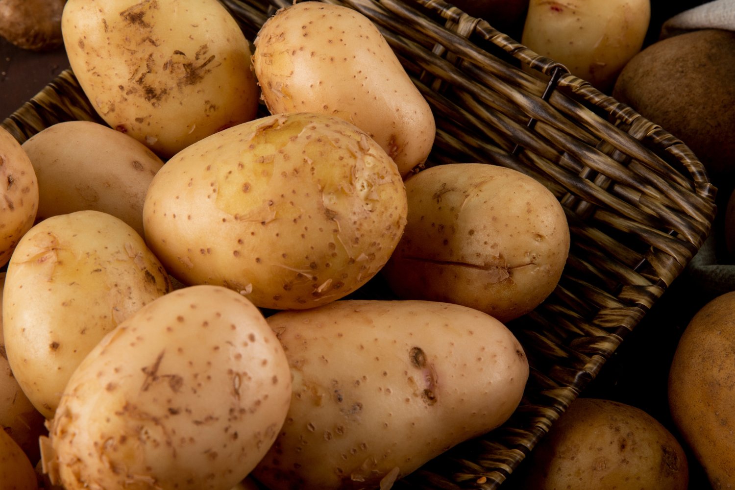 El misterio enterrado en la tierra: lo que une al tomate y la patata desde hace millones de años