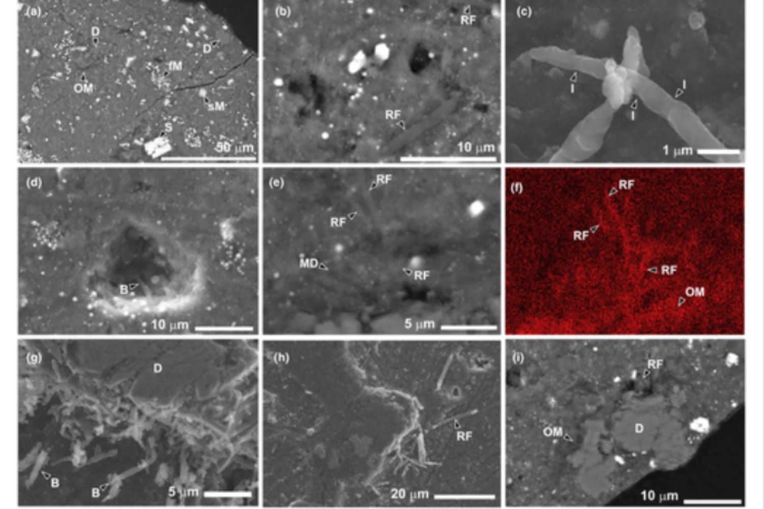 Ryugu y los secretos del origen: compuestos inéditos que podrían explicar cómo nació la vida en la Tierra