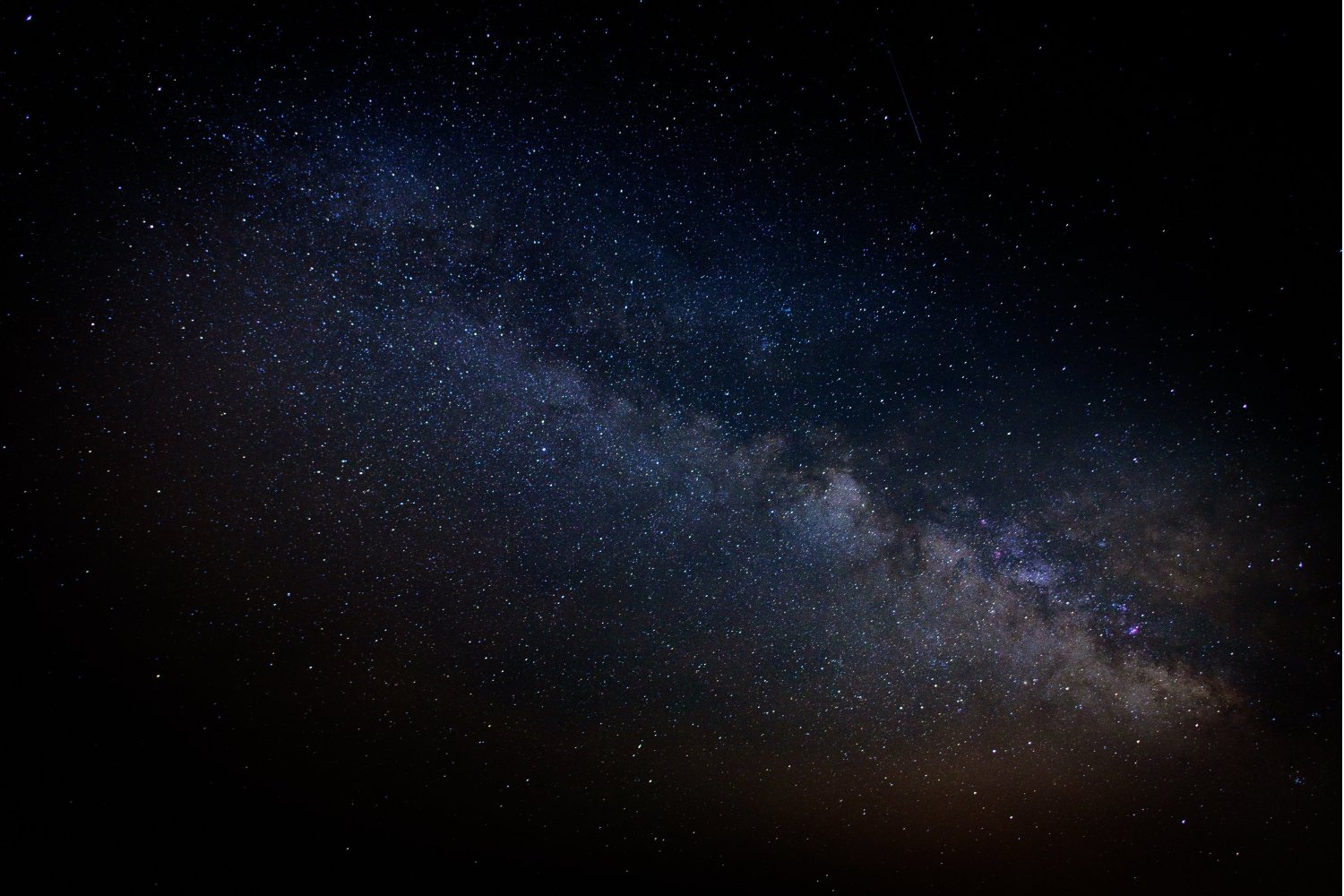 Ratones nacidos del espacio: el experimento que podría cambiar el futuro humano