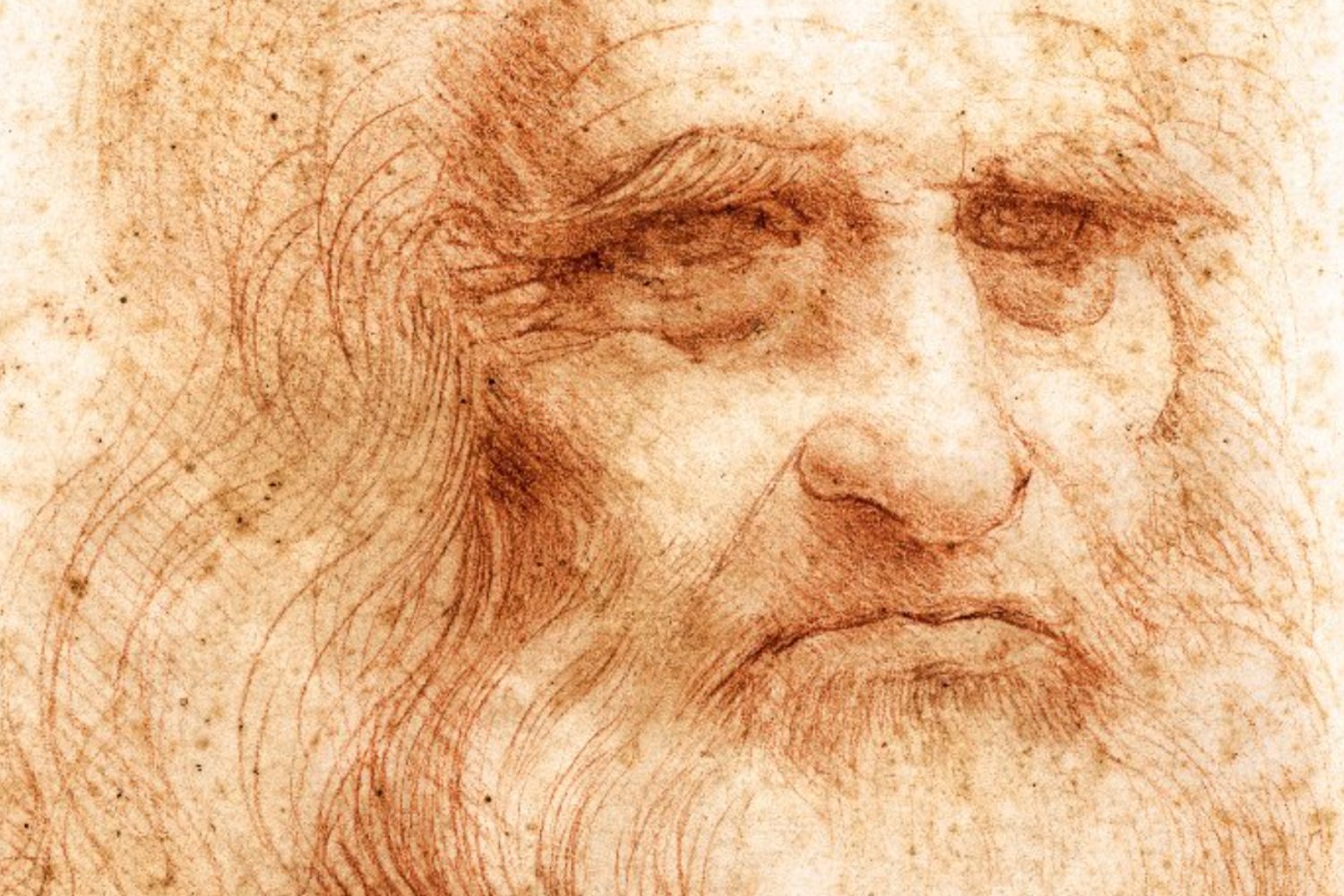 Seis hombres comparten el ADN de Da Vinci: la ciencia abre un camino inesperado hacia su tumba