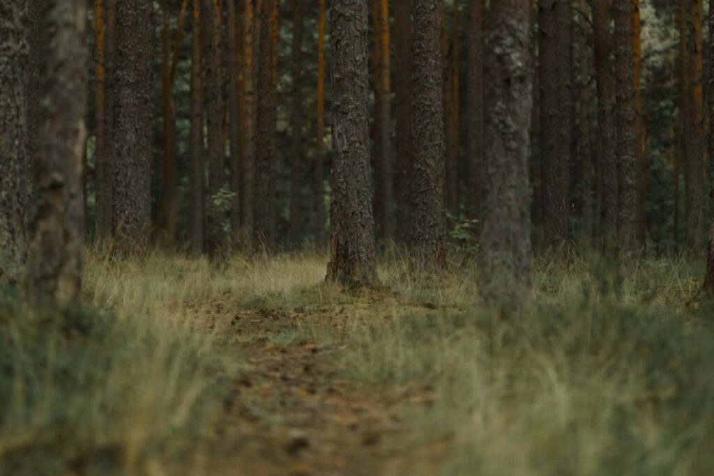 El planeta cruza una frontera peligrosa: ecosistemas al límite y futuro en riesgo
