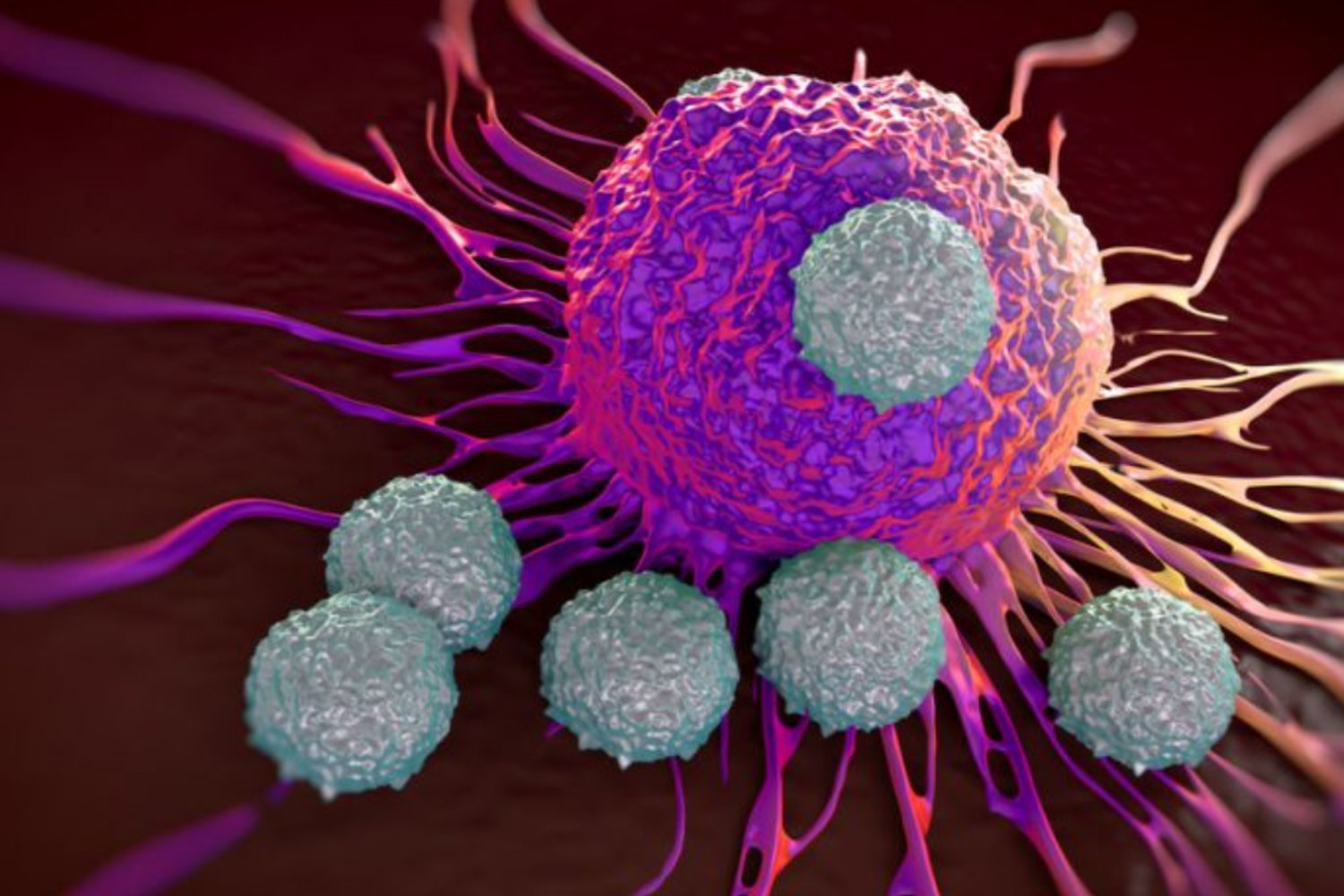 La inesperada alianza de bacterias y virus que podría reescribir la lucha contra el cáncer