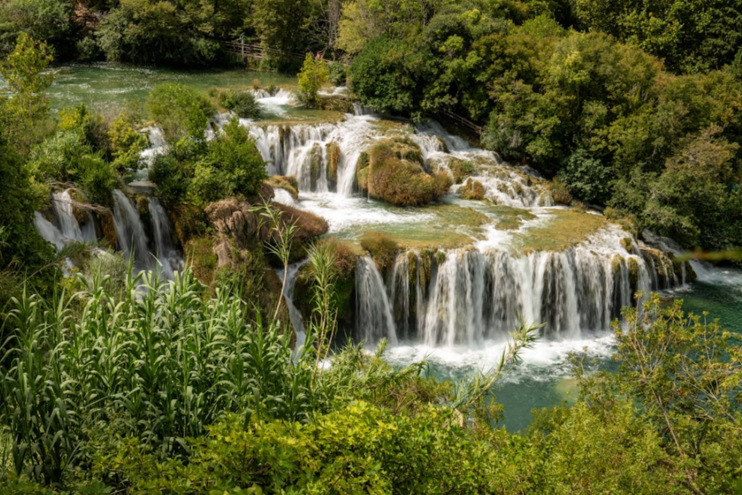 El planeta cruza una frontera peligrosa: ecosistemas al límite y futuro en riesgo