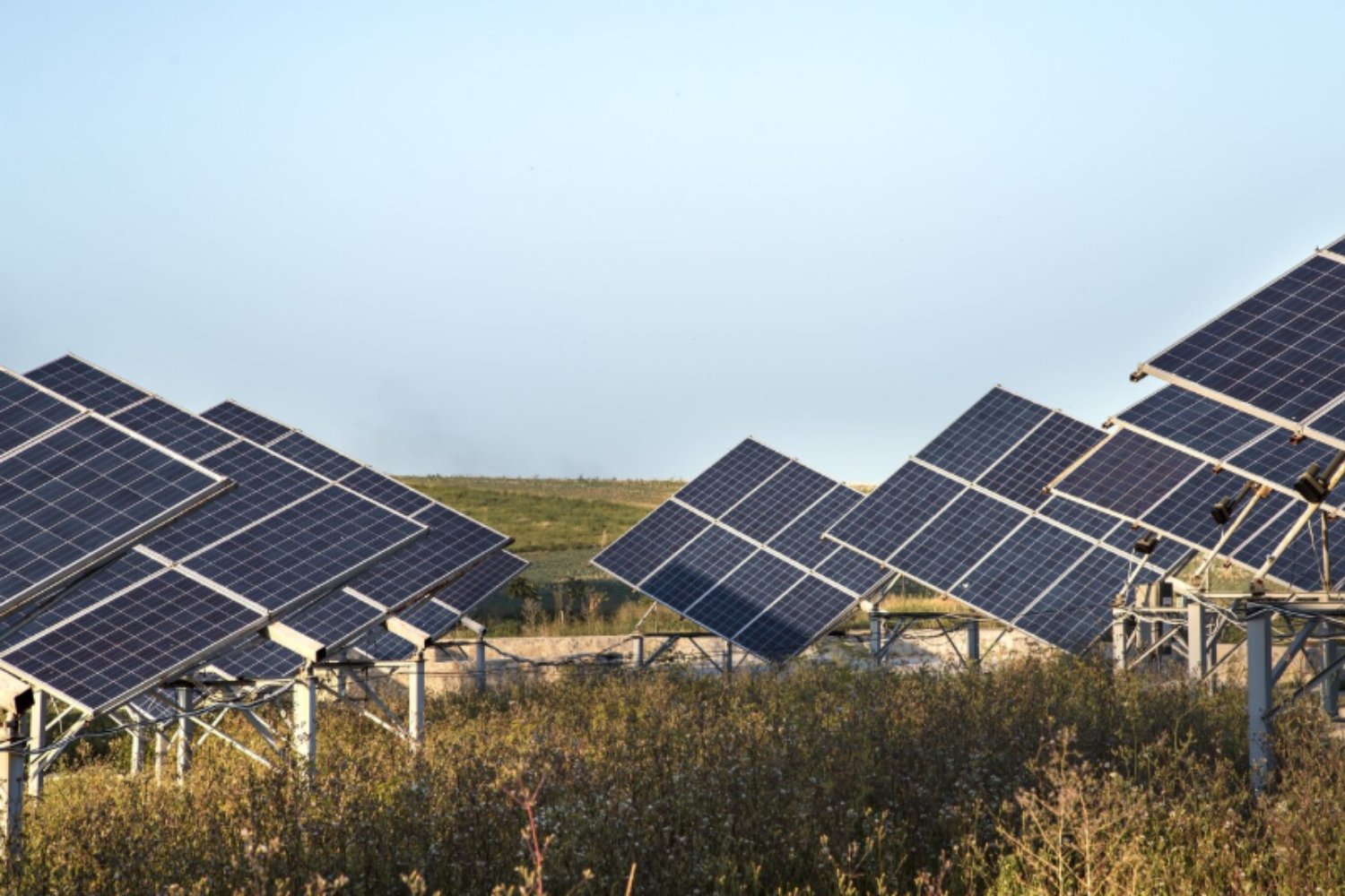 ¿Cosechar trigo o cosechar sol? El dilema real que ya transforma el campo español