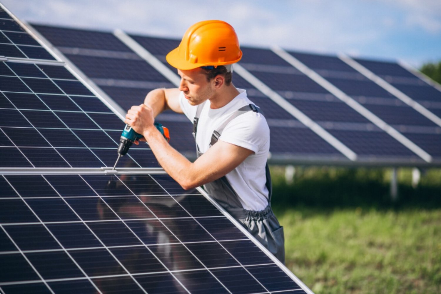 ¿Cosechar trigo o cosechar sol? El dilema real que ya transforma el campo español