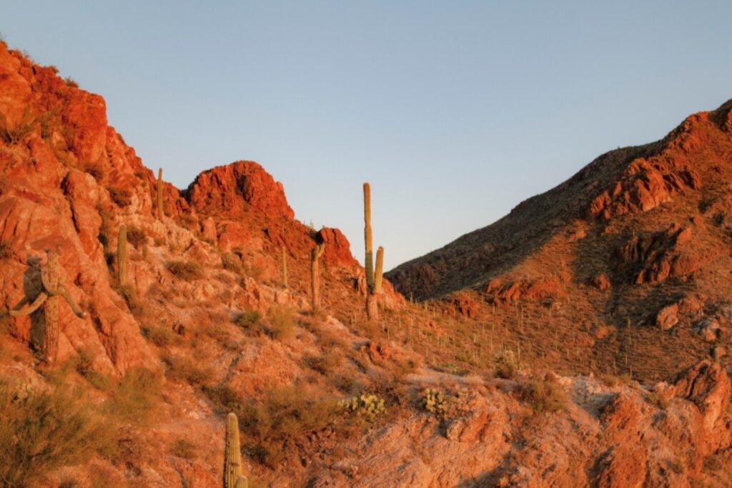 El calentamiento más extremo de la Tierra fue mucho más largo de lo que creíamos… y su advertencia es aterradora