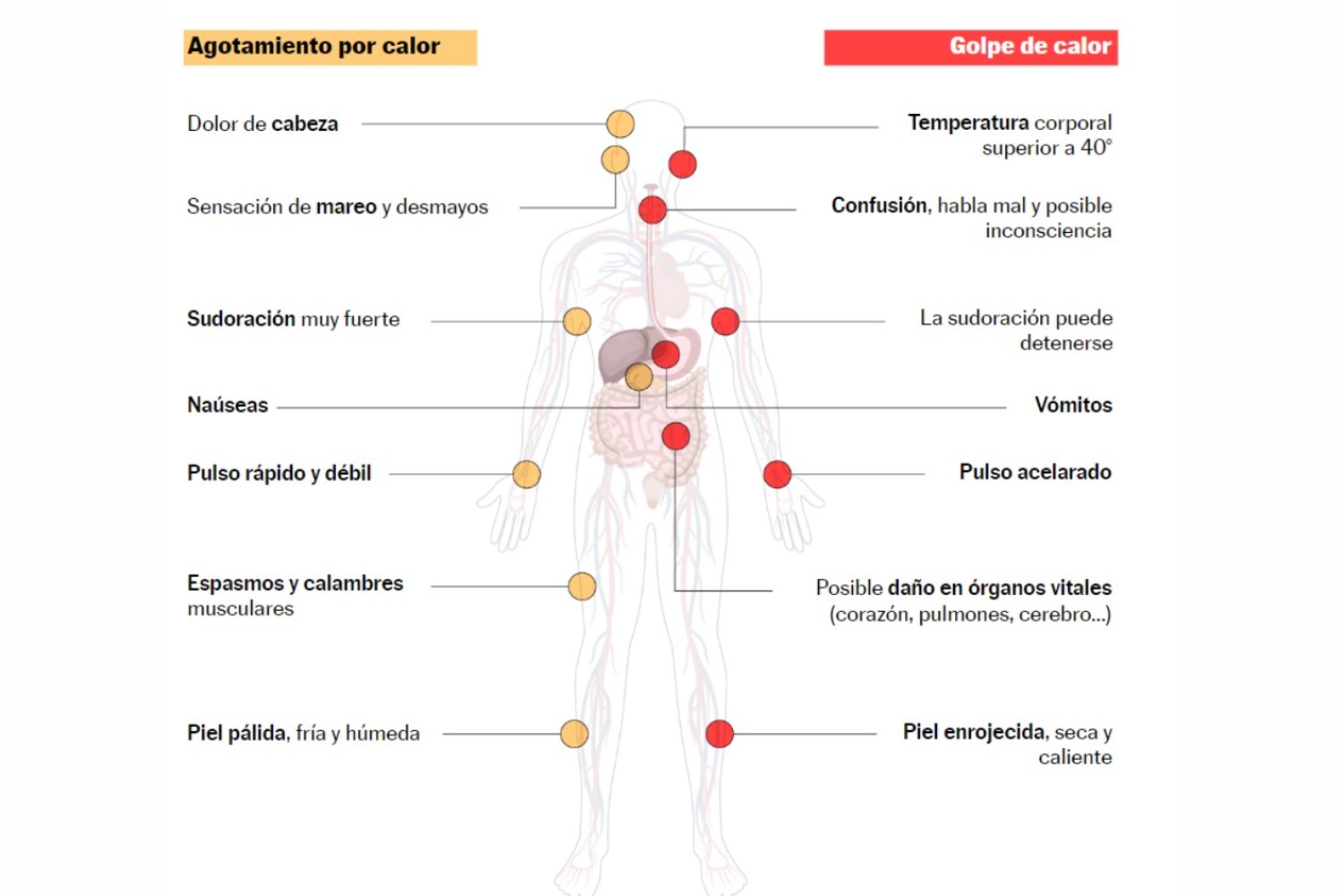El calor extremo envejece el cuerpo en silencio: la ciencia lo compara con fumar o beber