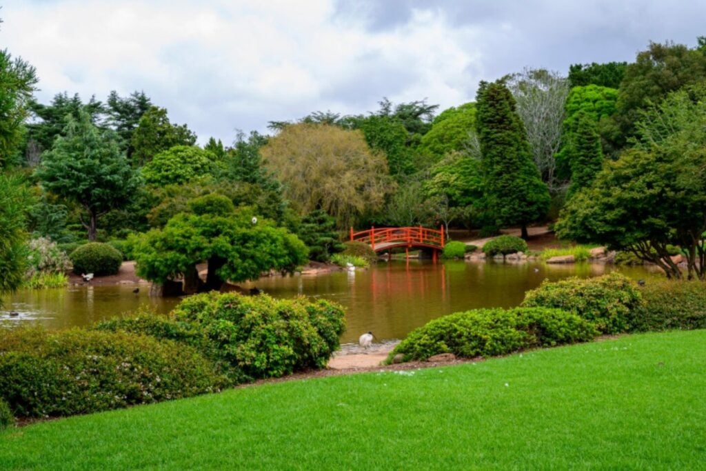 Ciudades verdes contra el calor: por qué los jardines urbanos pueden ser nuestra mejor defensa