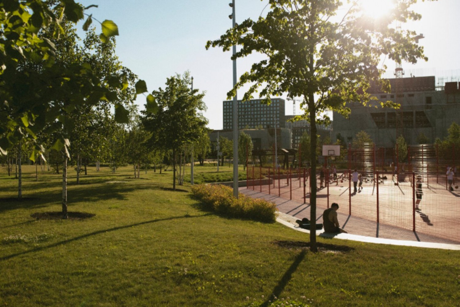 Ciudades verdes contra el calor: por qué los jardines urbanos pueden ser nuestra mejor defensa