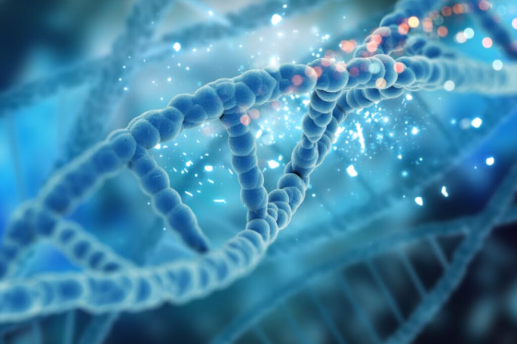 El secreto de la hibernación podría estar escondido en nuestro ADN