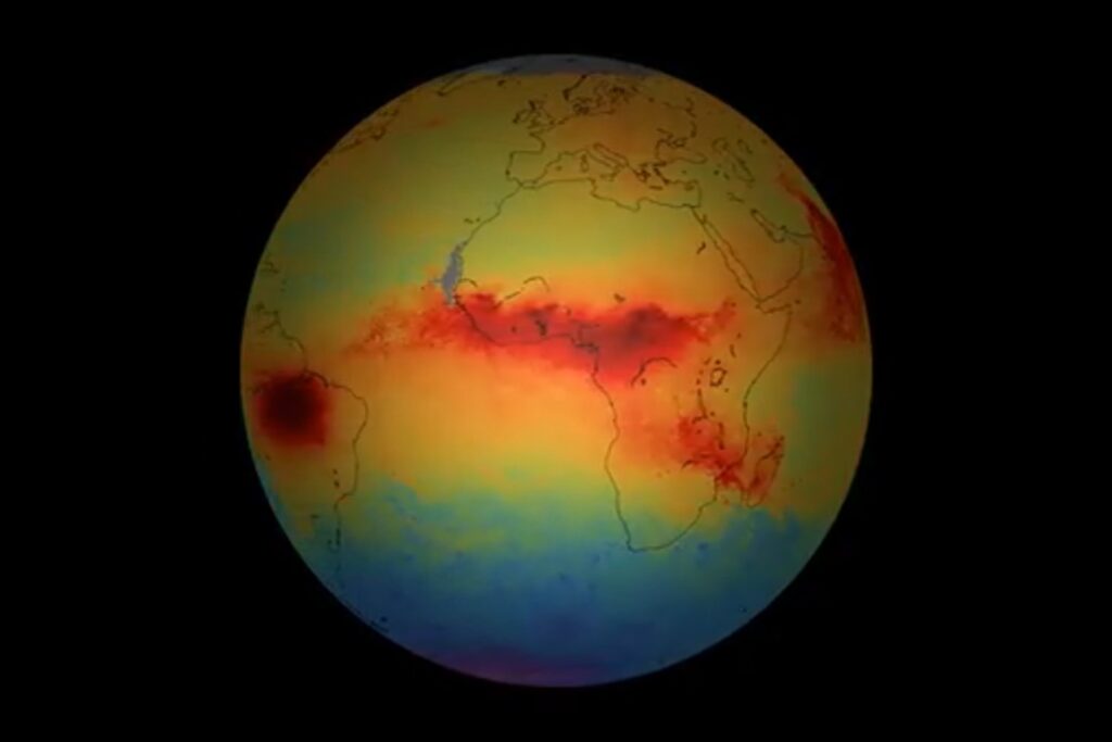 El mapa invisible del carbono: la huella humana que está vaciando bosques y suelos