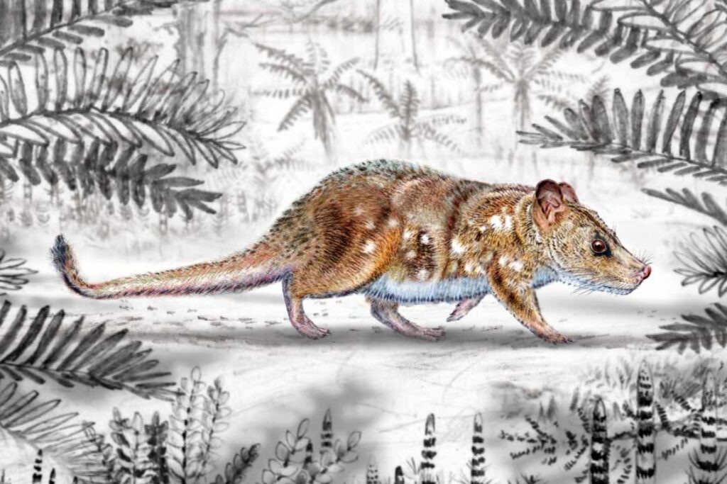 El diminuto mamífero mesozoico hallado en la Patagonia que reescribe la historia evolutiva