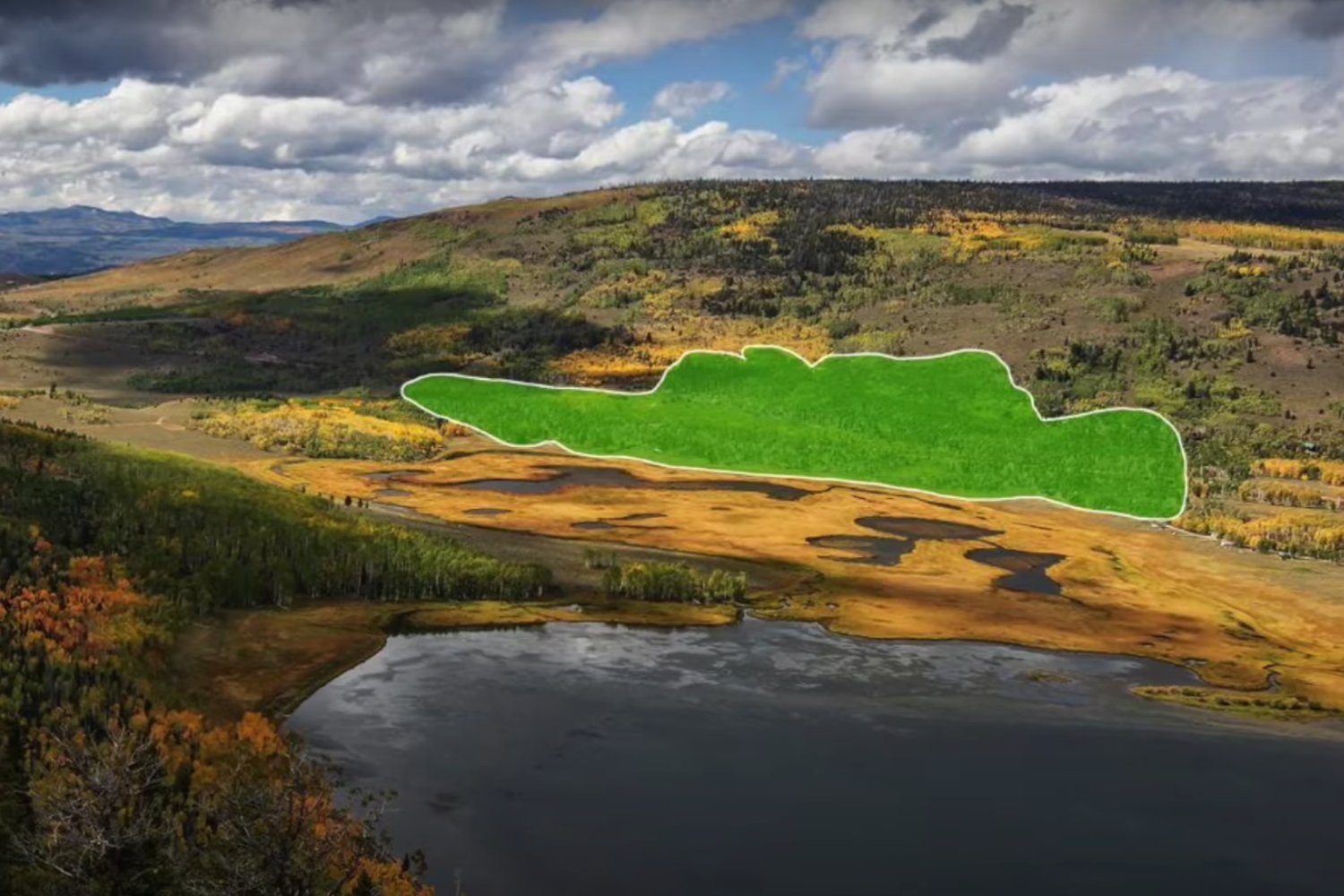 El gigante oculto que vive desde la Edad de Hielo y pesa como 35 ballenas azules