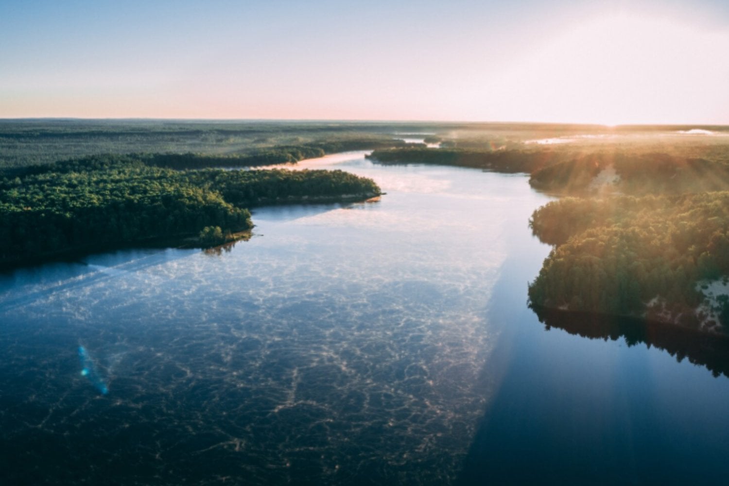 Un lago secreto donde las medusas nadan contigo sin peligro