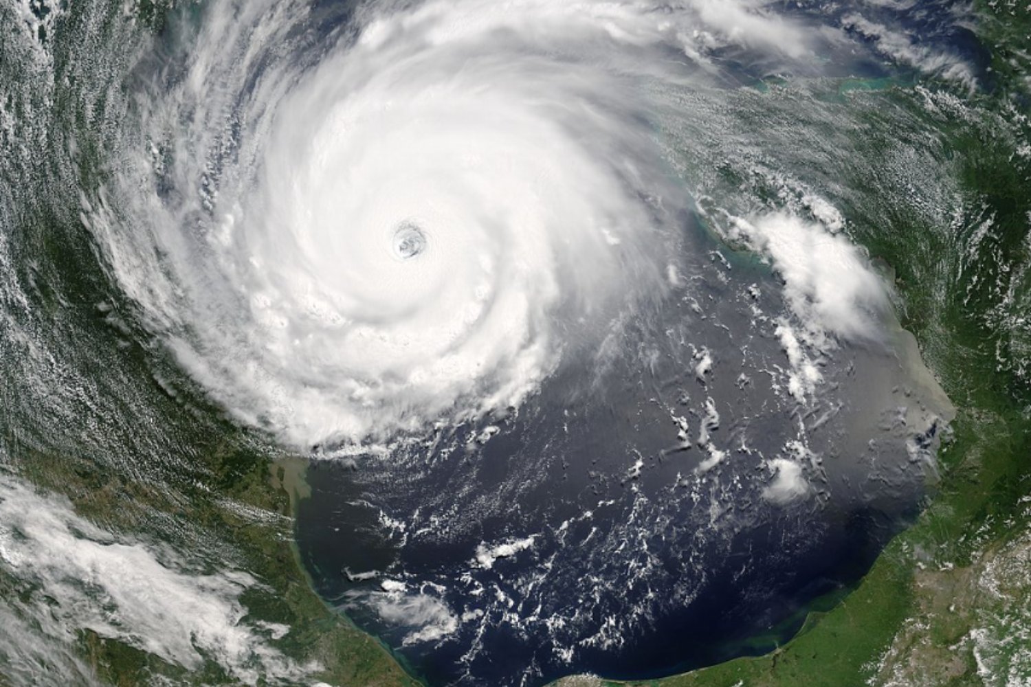 A 20 años de Katrina: la tormenta que cambió para siempre la forma de enfrentar los desastres