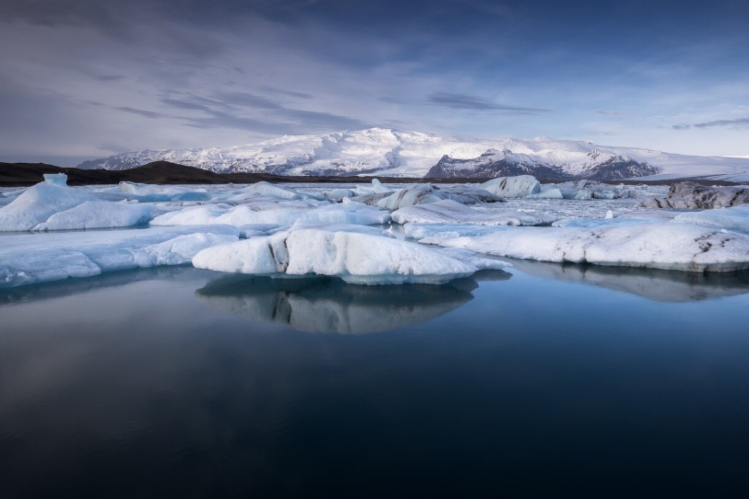 Castores en el Ártico: los arquitectos naturales que reconfiguran la tundra bajo el cambio climático