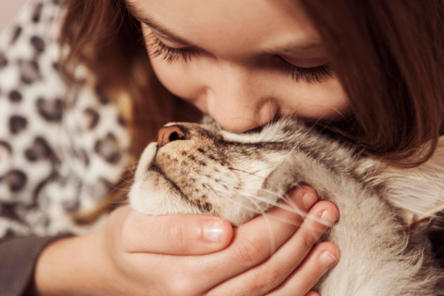 El misterioso cabezazo felino: lo que realmente significa cuando tu gato te roza con la cabeza
