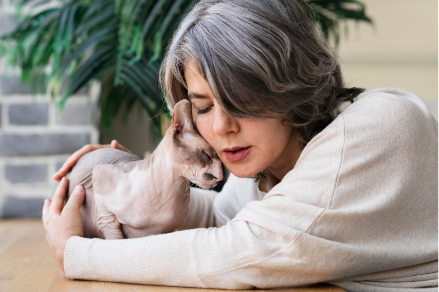 El misterioso cabezazo felino: lo que realmente significa cuando tu gato te roza con la cabeza