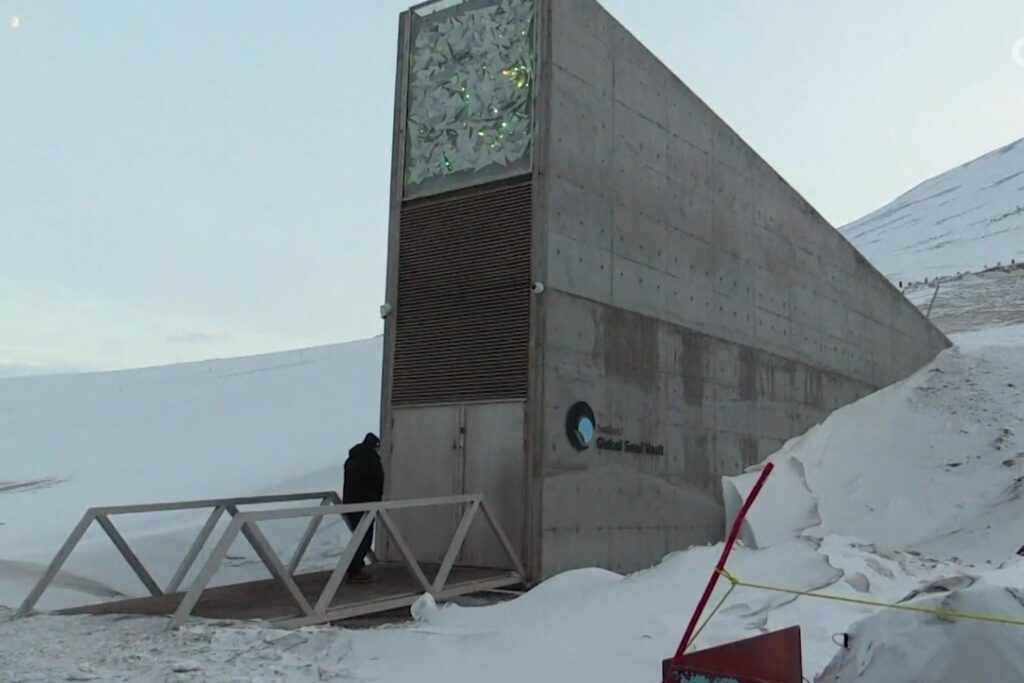 La bóveda secreta que guarda la vida invisible: el plan mundial para salvar microbios antes de que desaparezcan