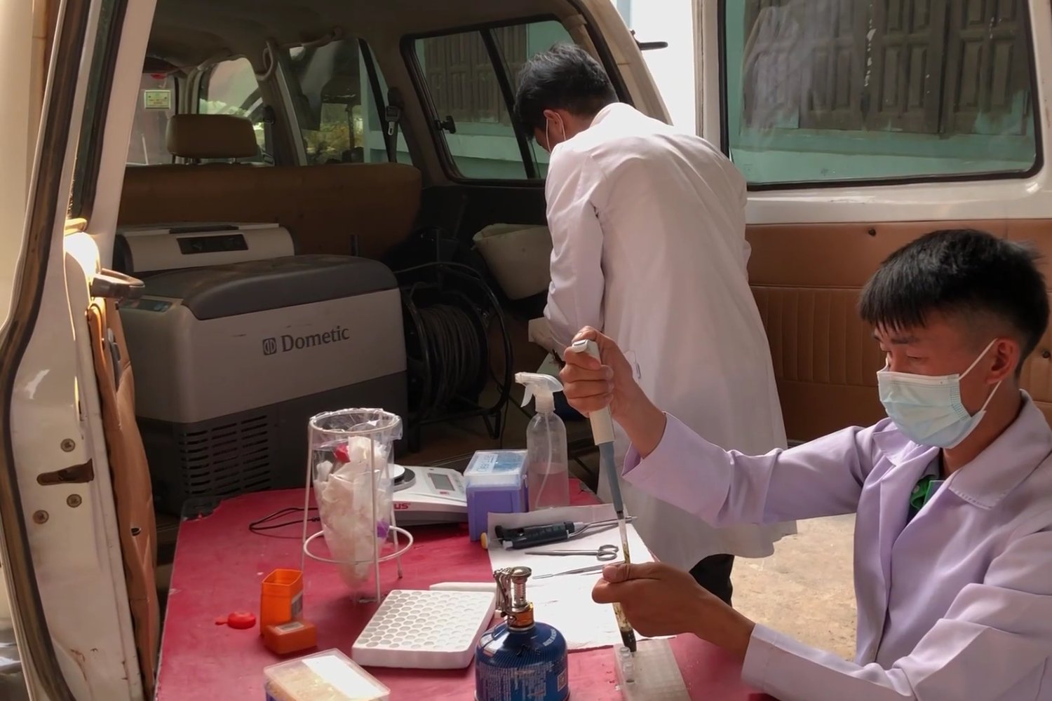 La bóveda secreta que guarda la vida invisible: el plan mundial para salvar microbios antes de que desaparezcan