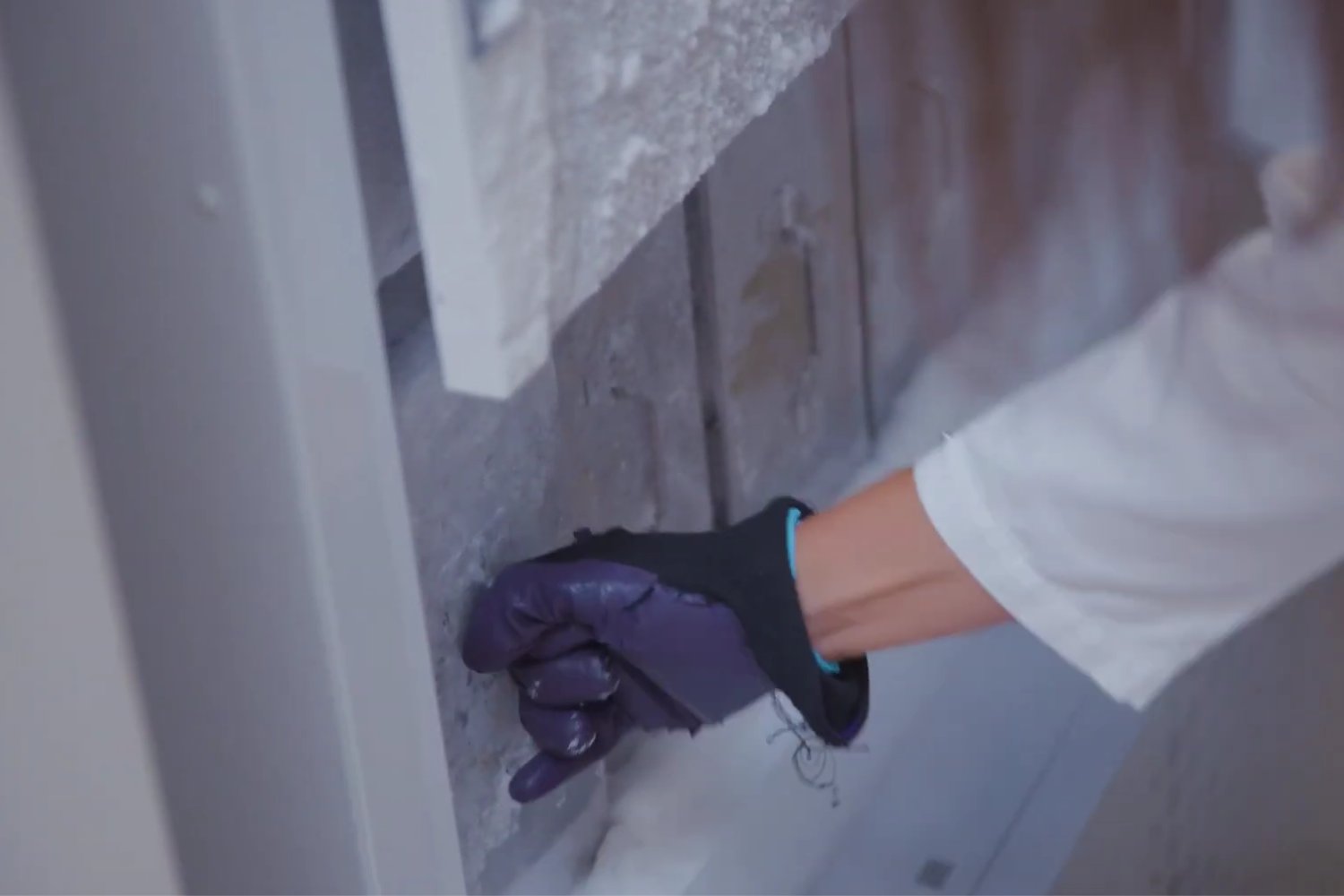 La bóveda secreta que guarda la vida invisible: el plan mundial para salvar microbios antes de que desaparezcan