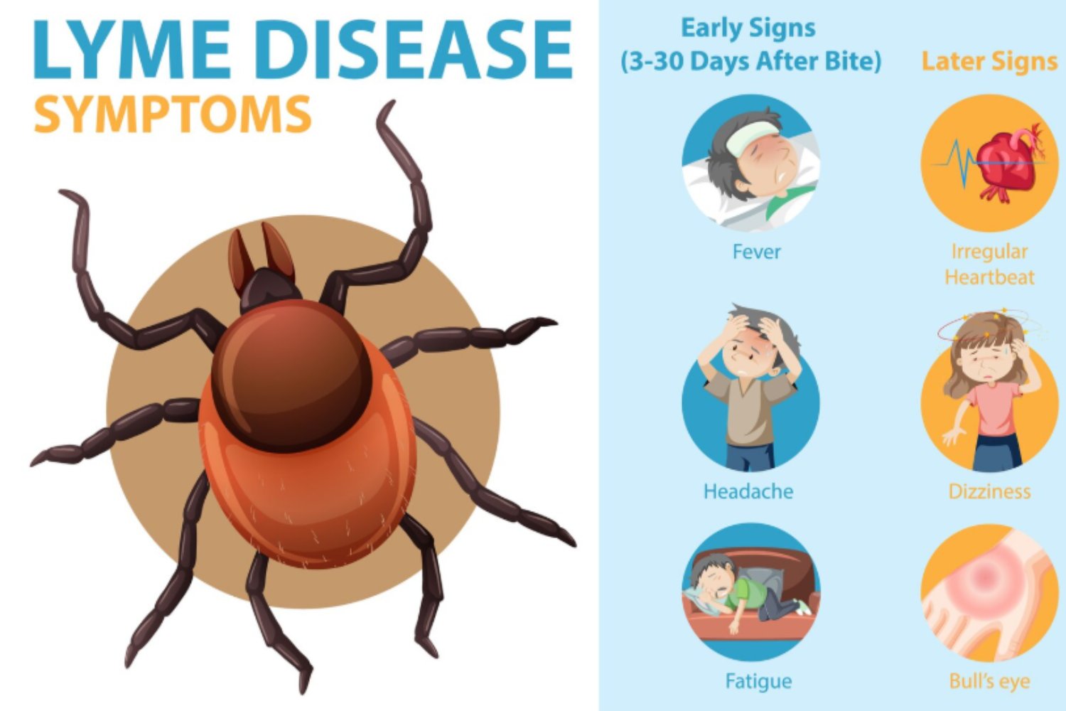 Lyme, la amenaza invisible que crece con el clima y desconcierta a la medicina
