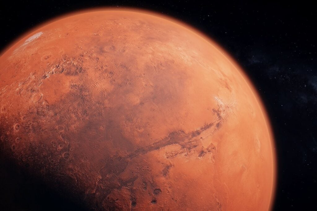 Criaturas imposibles y secretos ocultos: lo que no sabemos del fondo marino