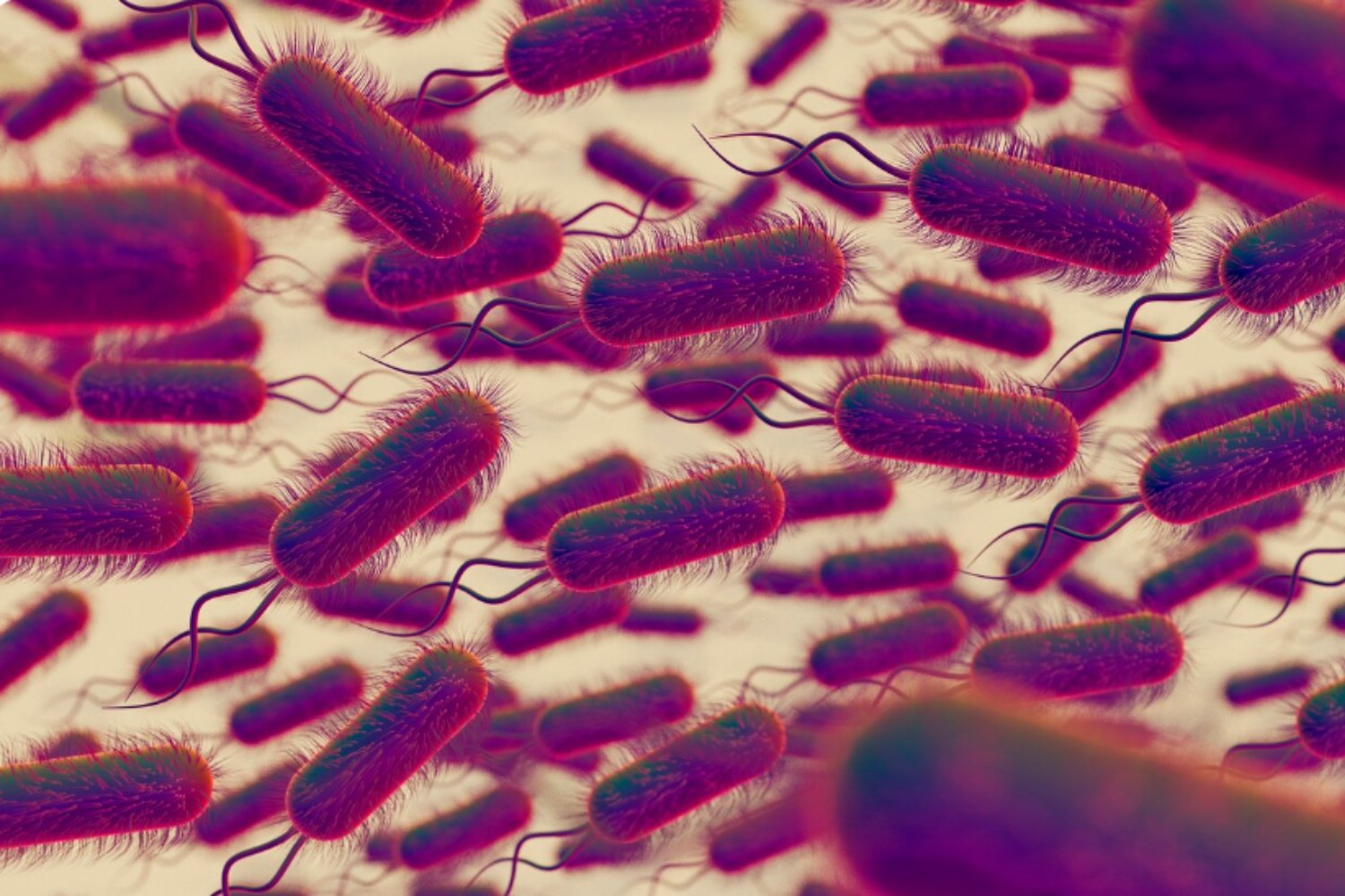 El futuro de la crema solar podría estar en alimentar a tus bacterias