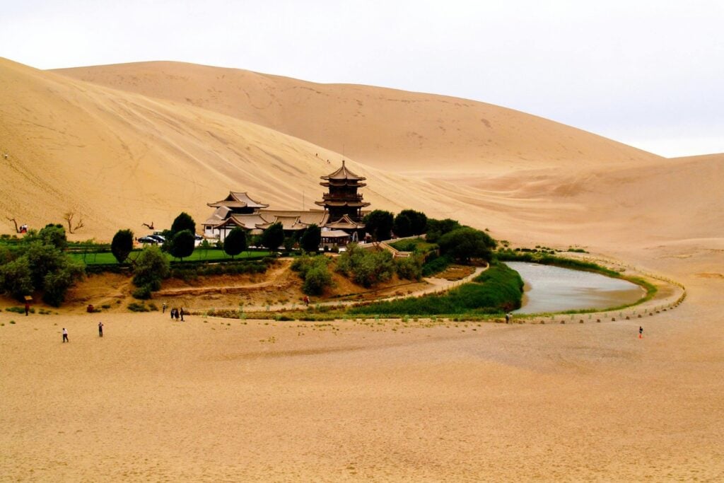 Los bosques secretos del Sahara que sobreviven donde la vida parece imposible