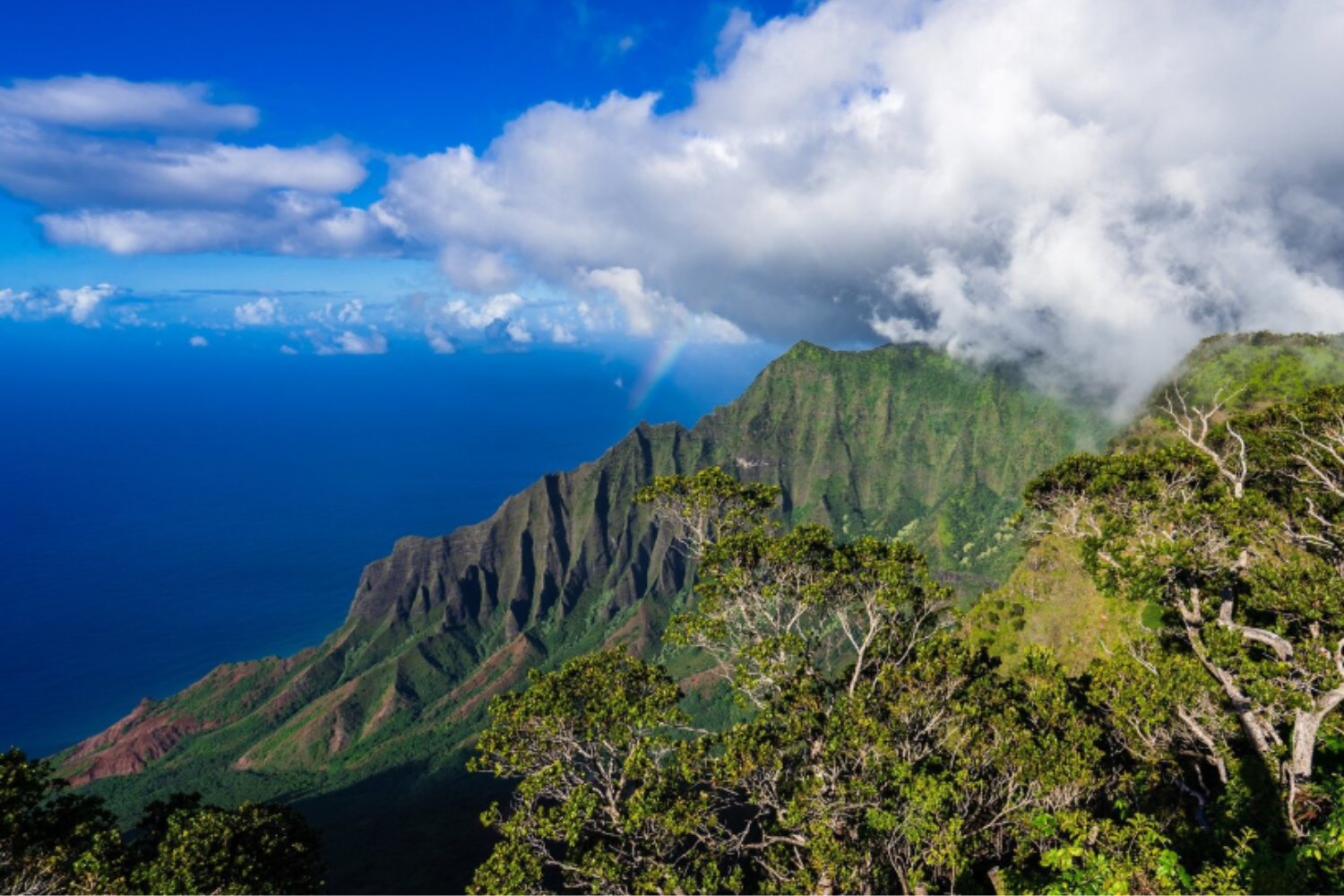 Los últimos refugios del silencio: cómo suenan los lugares más tranquilos del planeta