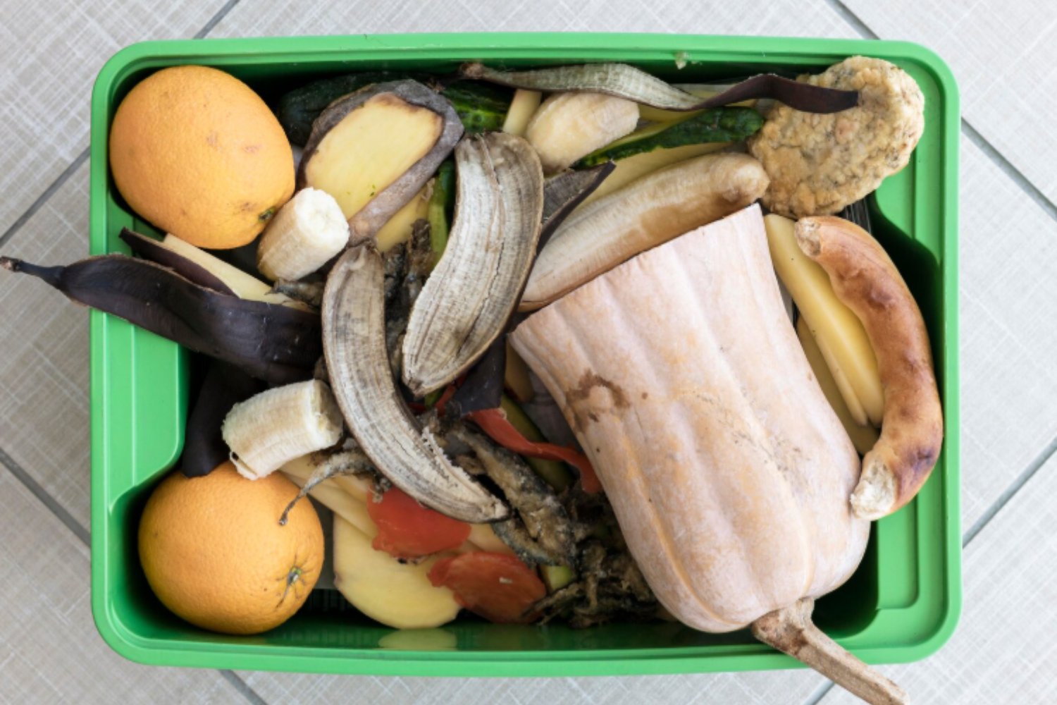 La alarmante verdad: un tercio de la comida mundial se pierde antes de llegar a nuestra mesa