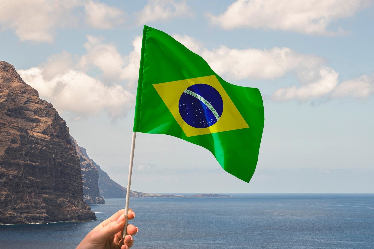 Becas Para Estudiar En Brasil