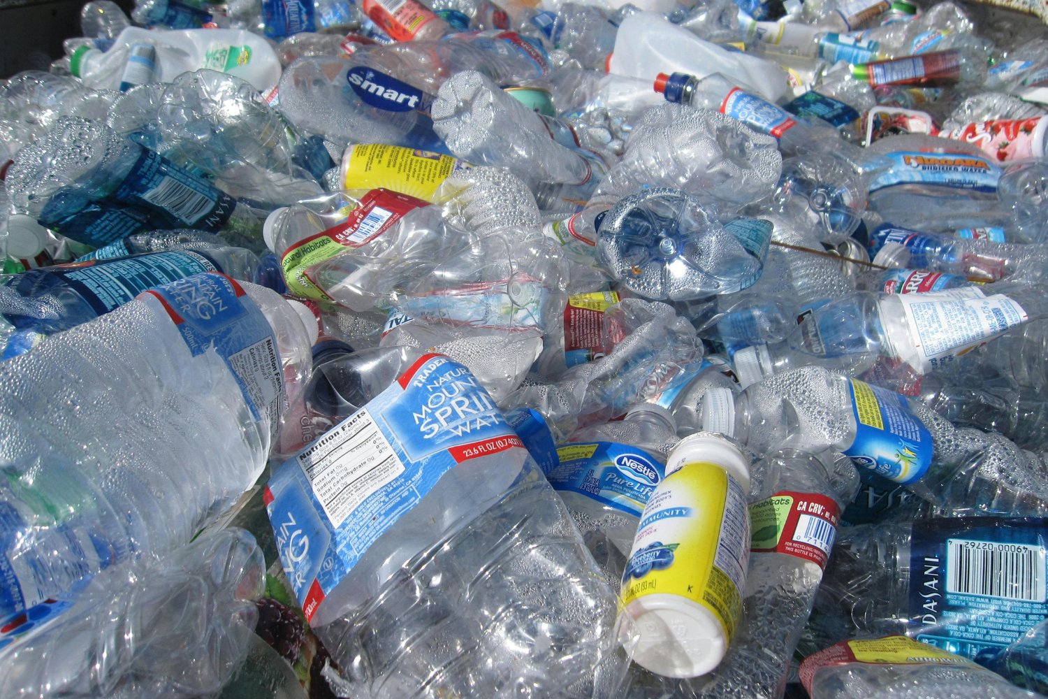 Contaminacion Plastica