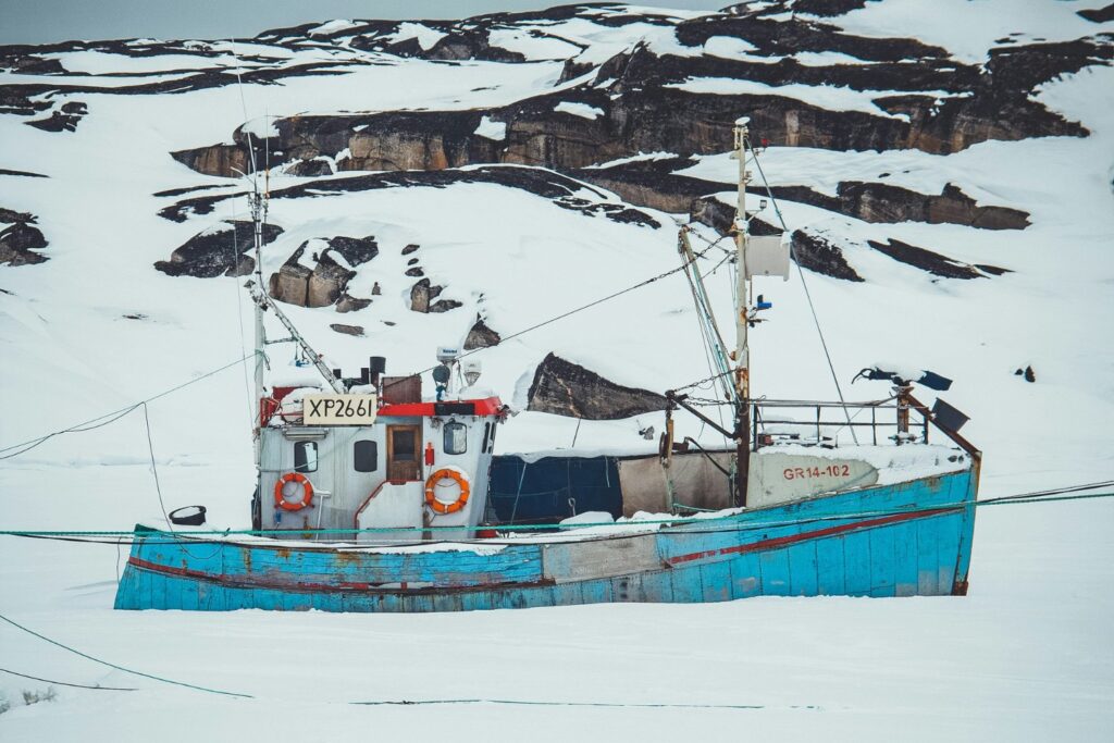 La Pesca De Krill Excesiva En Antartida