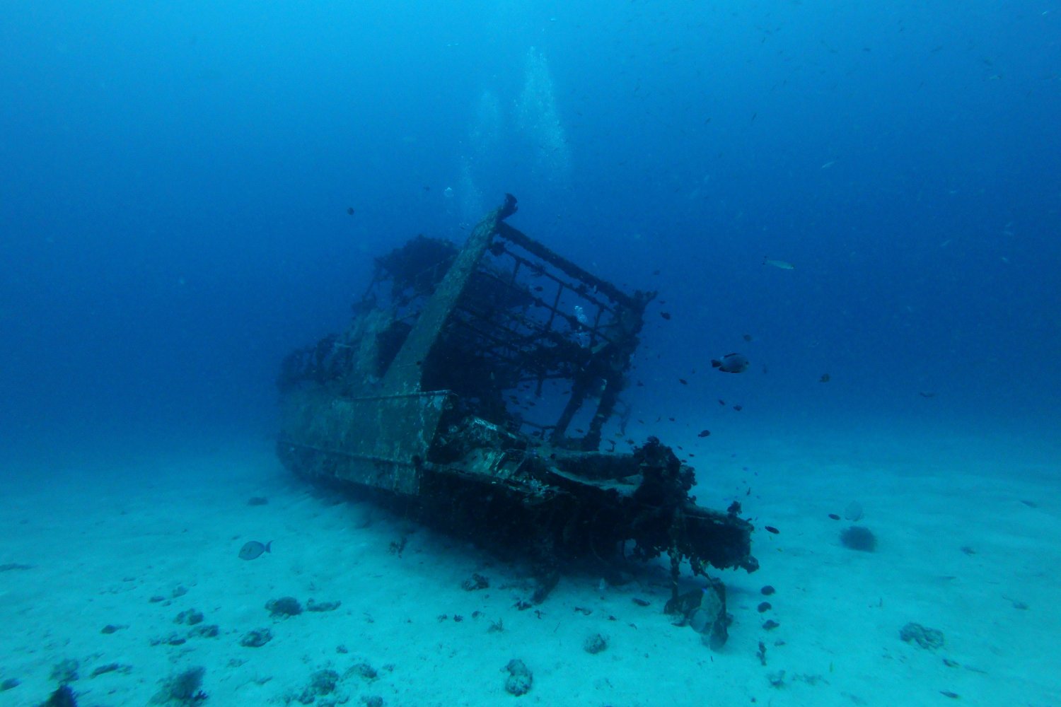 NaufragiOS En Carolina Del Norte