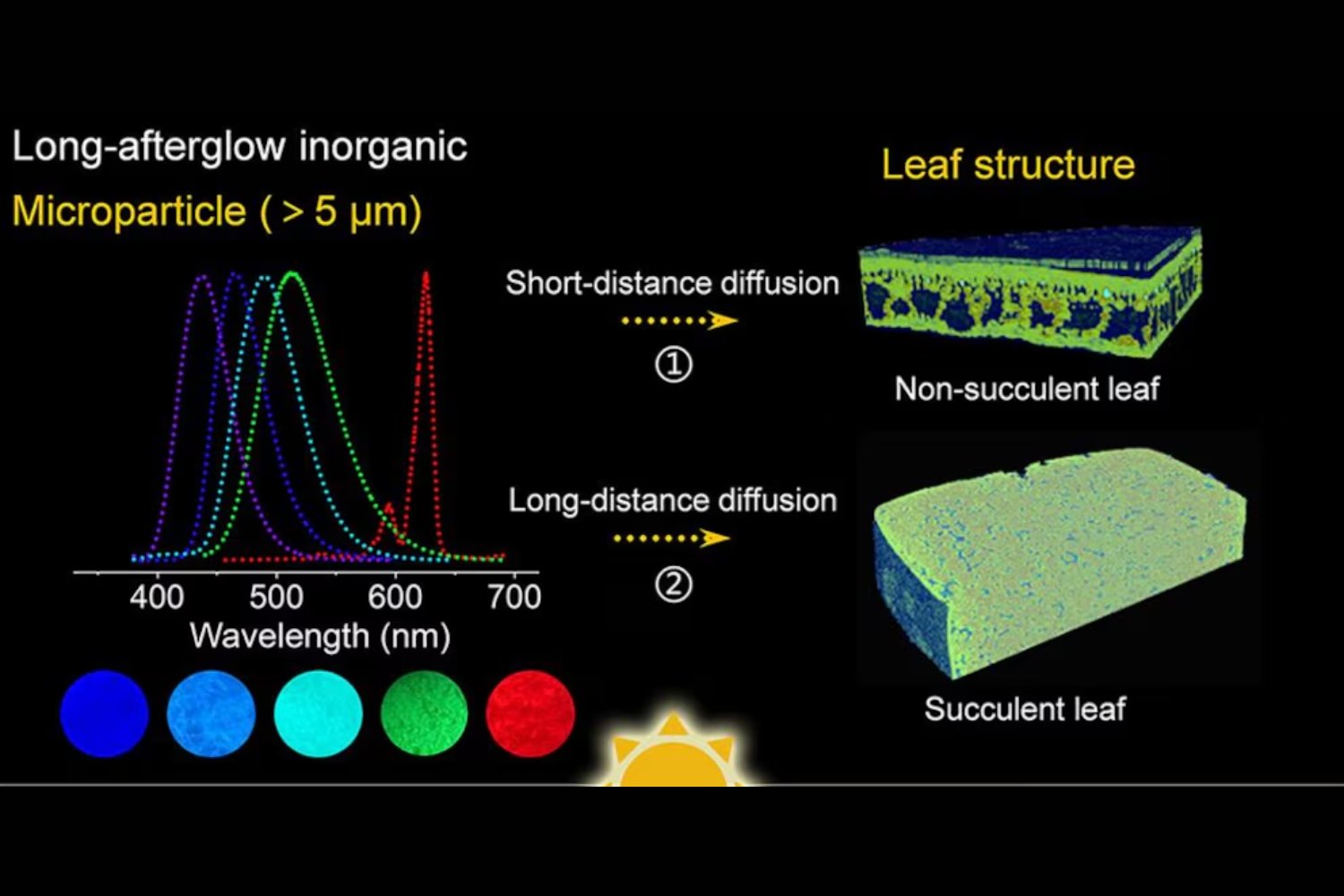 Plantas que brillan en la oscuridad: el enigma de las lámparas vivas que podrían transformar la noche