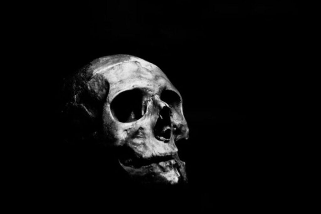 La evolución humana podría ser mucho más antigua de lo que pensamos: un cráneo de un millón de años en China sugiere que el Homo sapiens ya caminaba sobre la Tierra junto a neandertales y Homo longi