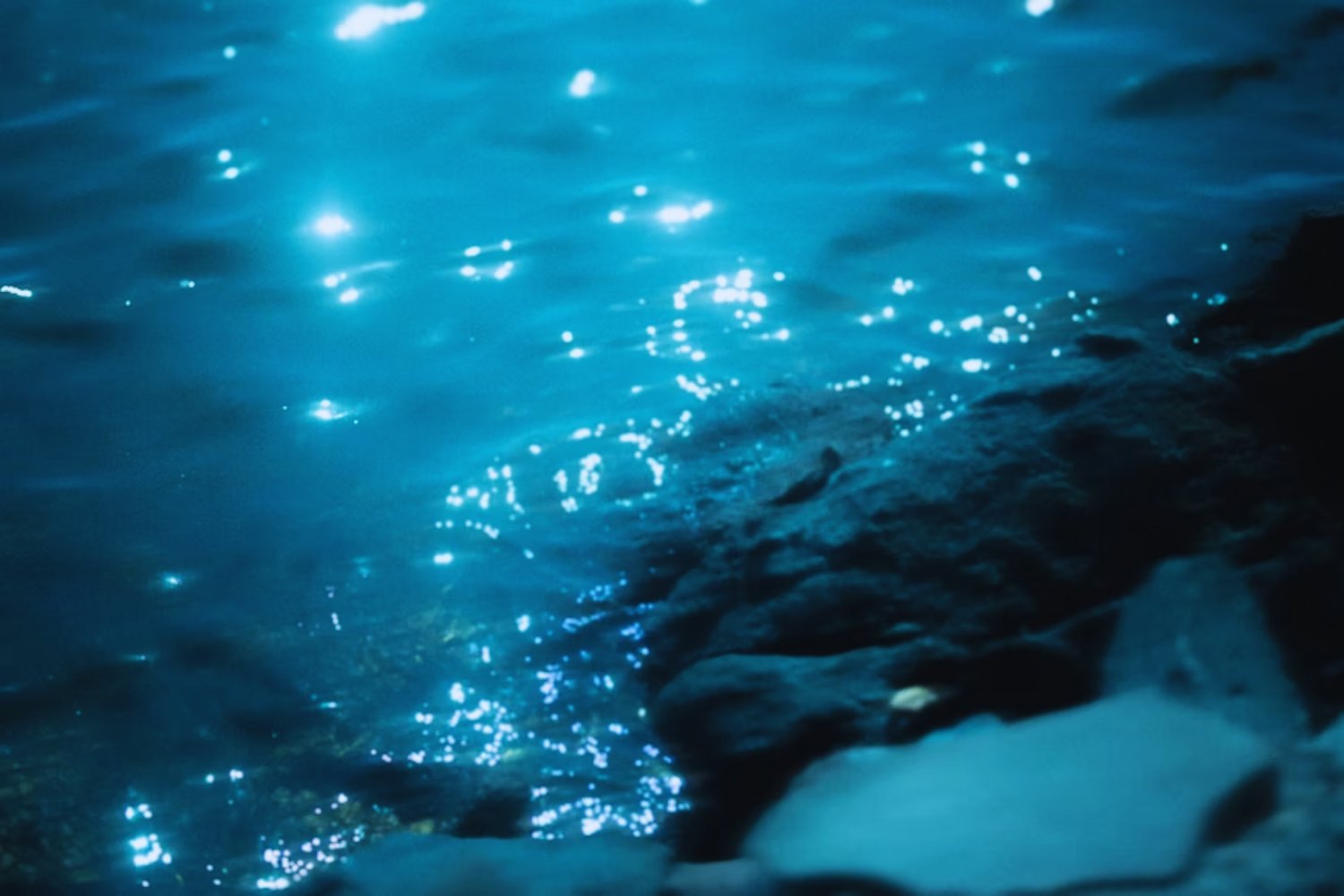 Agua dulce bajo el mar. El hallazgo secreto que podría cambiar la lucha contra la sed mundial