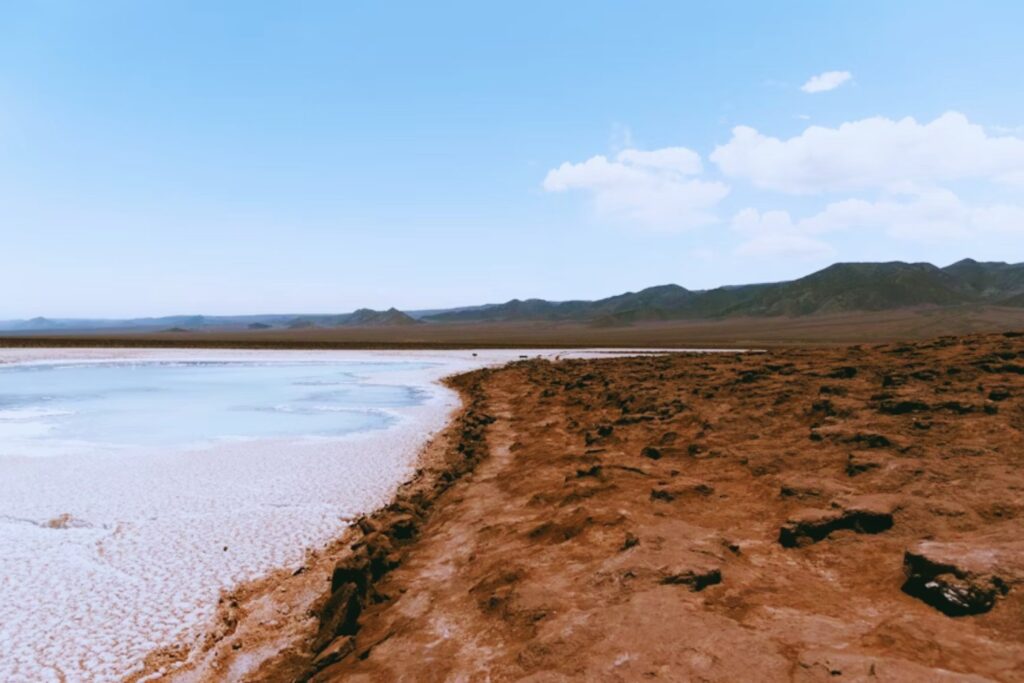 uando el futuro verde deja cicatrices: la explotación de litio en Atacama muestra que la descarbonización también puede tener un precio ambiental insoportable