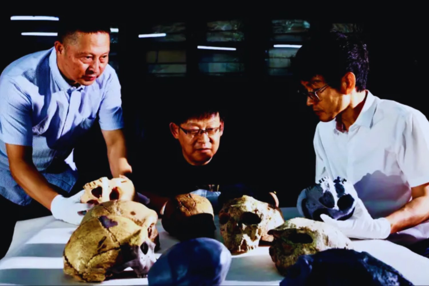 La evolución humana podría ser mucho más antigua de lo que pensamos: un cráneo de un millón de años en China sugiere que el Homo sapiens ya caminaba sobre la Tierra junto a neandertales y Homo longi