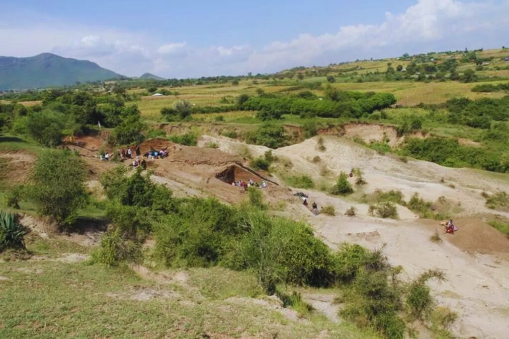 Los estrategas que no eran humanos. Un hallazgo en Kenia reescribe la historia de la mente hace 2,6 millones de años
