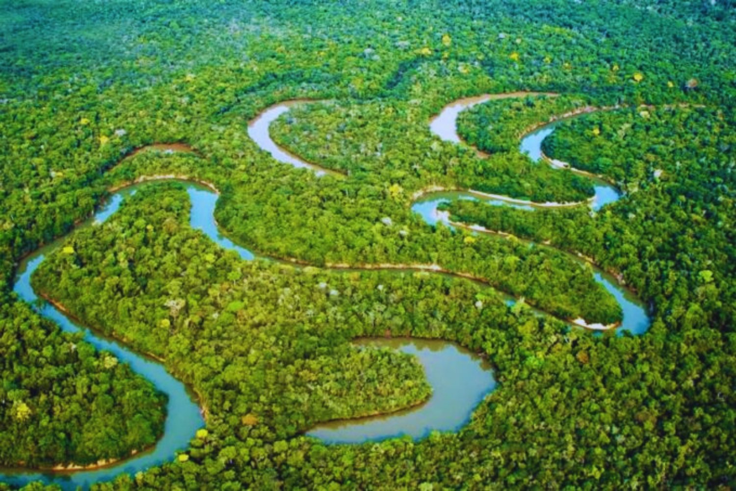 El origen de la Amazonía sigue siendo un enigma. Un asteroide y un mar interior podrían tener la clave