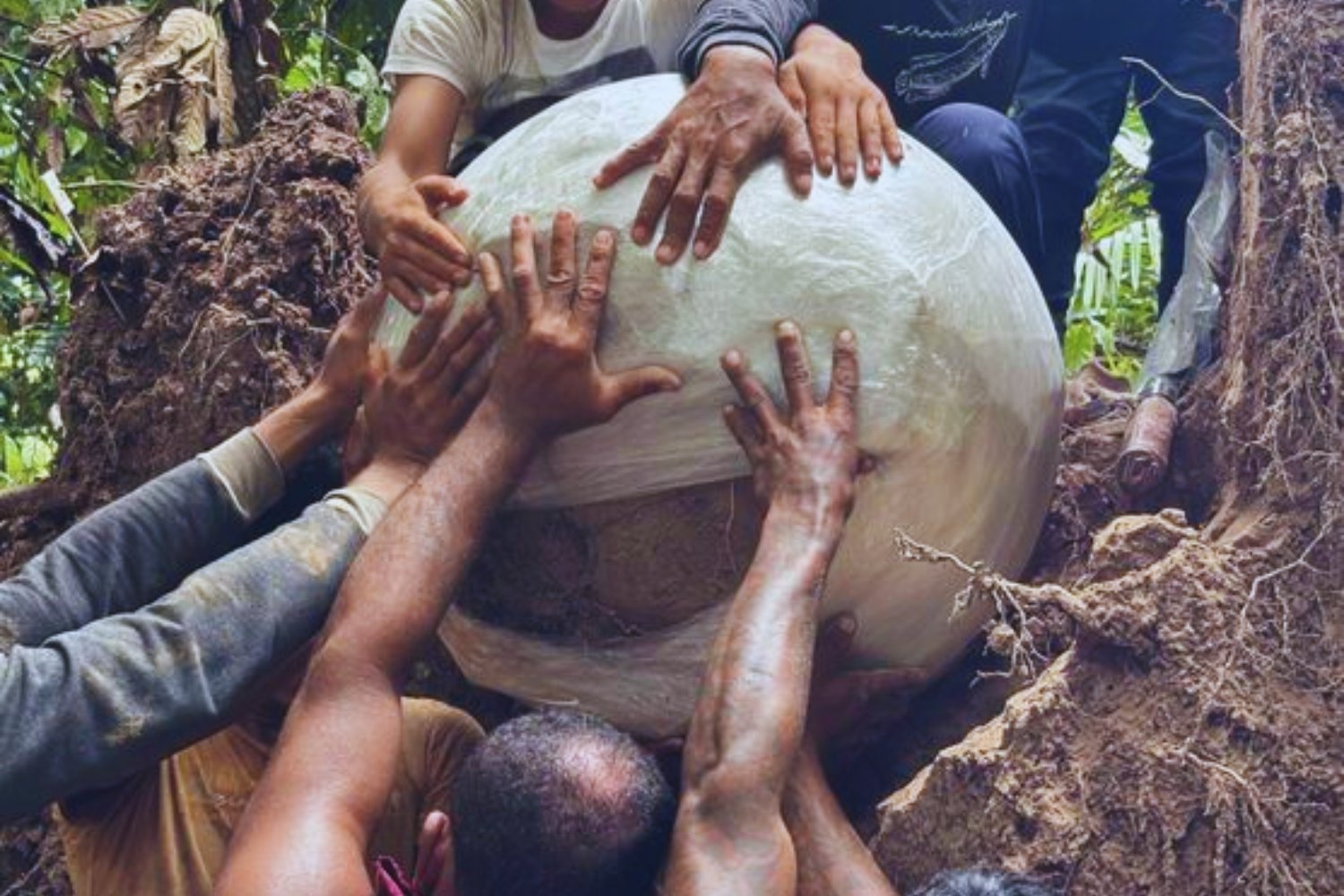 Siete esferas bajo un árbol caído. El hallazgo amazónico que desconcierta a la arqueología
