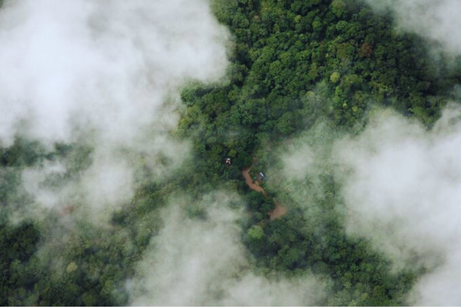 El origen de la Amazonía sigue siendo un enigma. Un asteroide y un mar interior podrían tener la clave