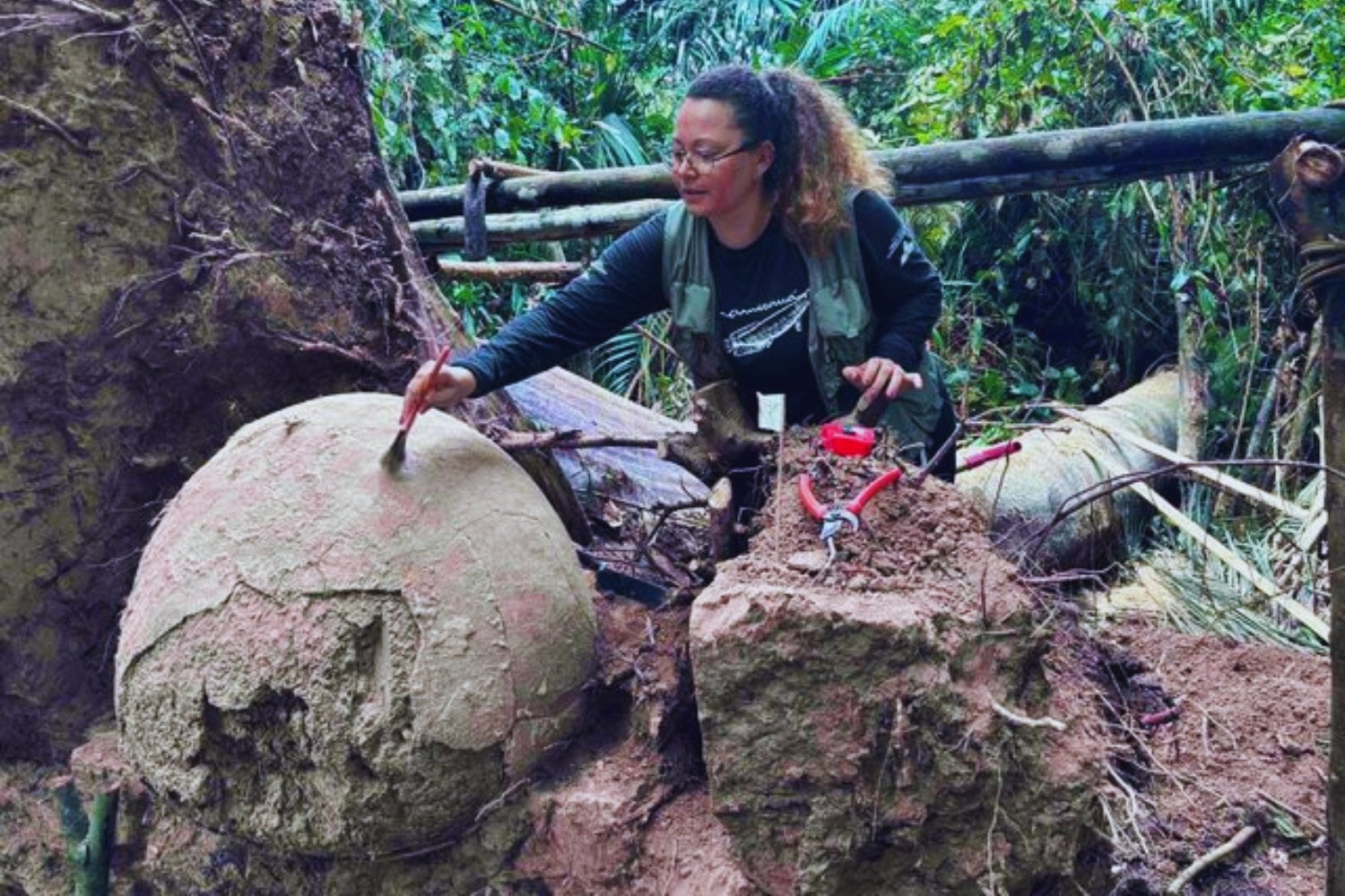 Siete esferas bajo un árbol caído. El hallazgo amazónico que desconcierta a la arqueología