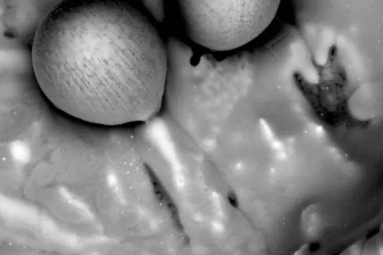 El objeto interestelar estrellado en el Pacífico tiene una explicación extraordinaria. Los fragmentos recuperados refuerzan la hipótesis de un origen extraterrestre.