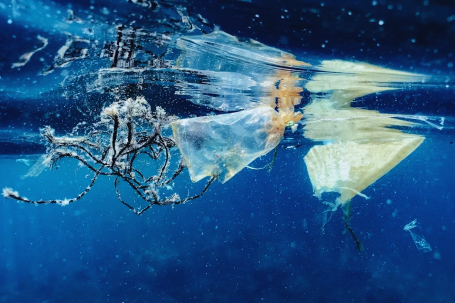 China, Filipinas e India son los países que más plástico vierten al océano: un informe revela cómo la mala gestión de residuos alimenta la crisis global