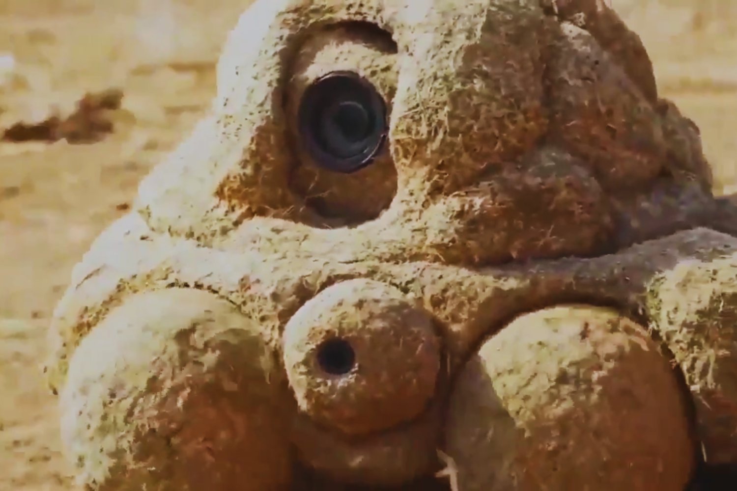 El excremento que todo lo ve: el ingenioso truco de la BBC para acercarse como nunca a la vida animal